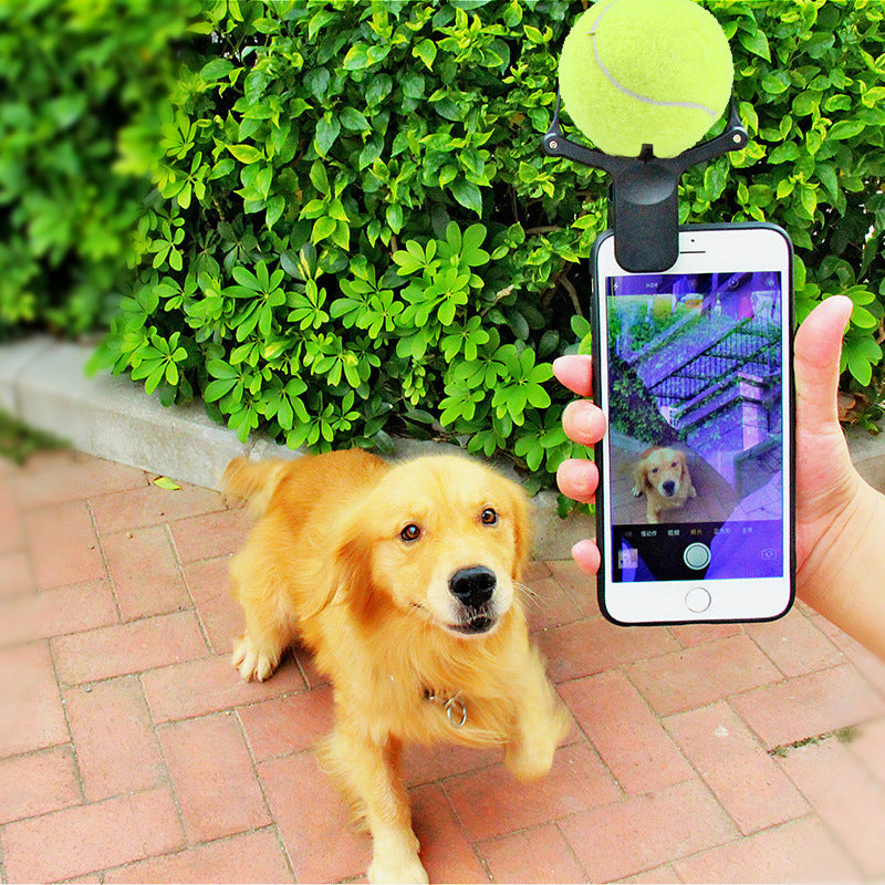 StartUGC Pet Filming Attention Clip phone setup
